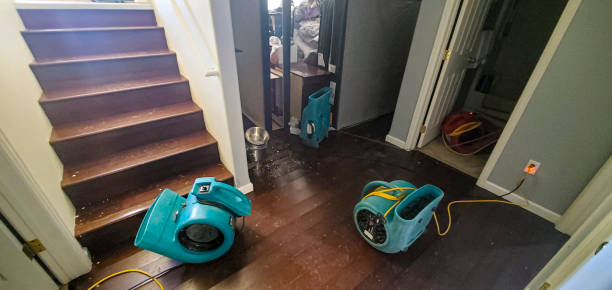 Best Water damage restoration experts  in Crestview Hills, KY