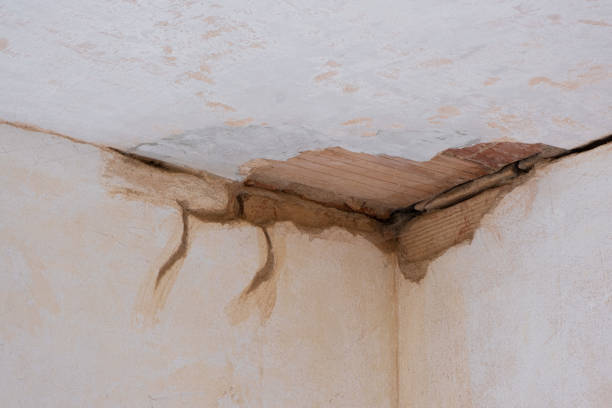 Best Fire Damage Restoration  in Crestview Hills, KY
