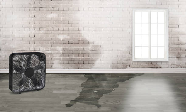 Best Water damage restoration near me  in Crestview Hills, KY