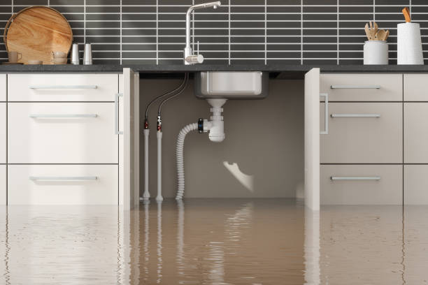 Best Flooded house restoration  in Crestview Hills, KY