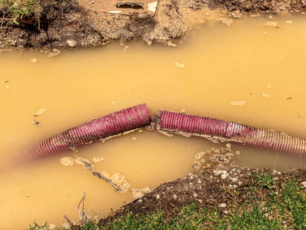 Best Carpet water damage restoration  in Crestview Hills, KY