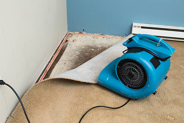 Best Fire Damage Restoration  in Crestview Hills, KY
